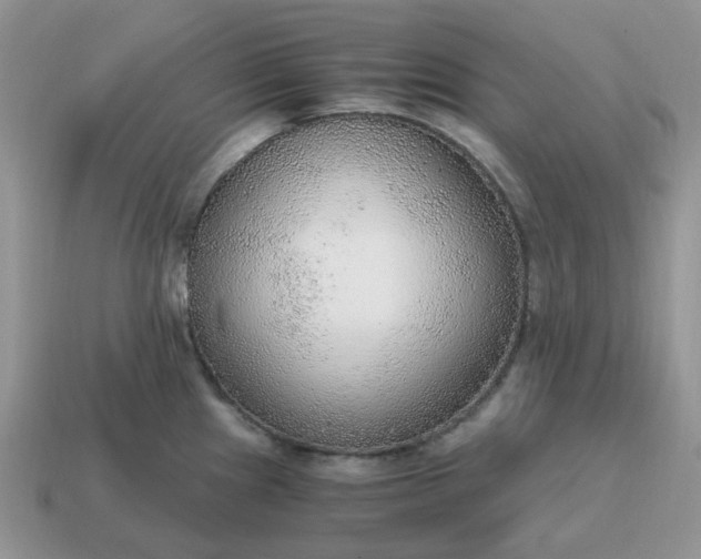 X0000114601241200911091311