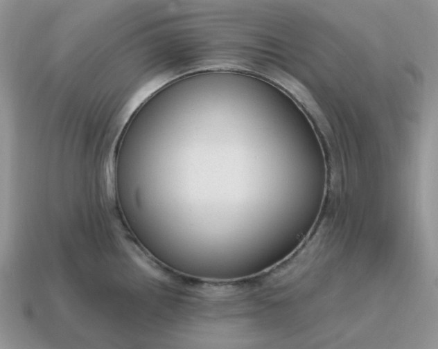 X0000114601242200911091311