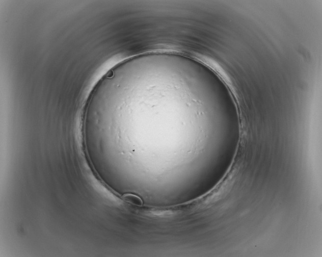 X0000114601243200911091311