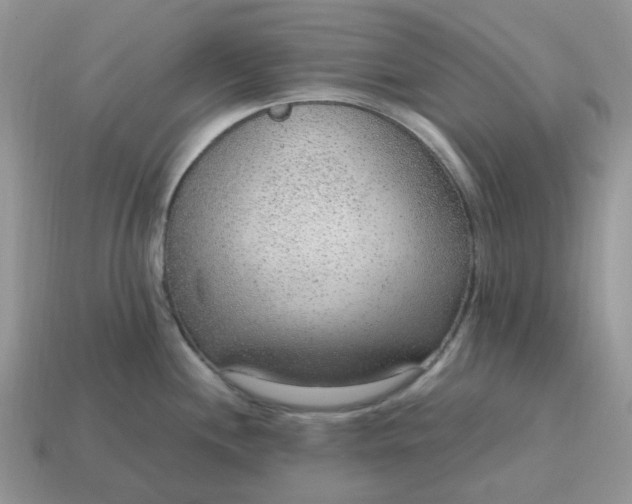 X0000114601244200911091311