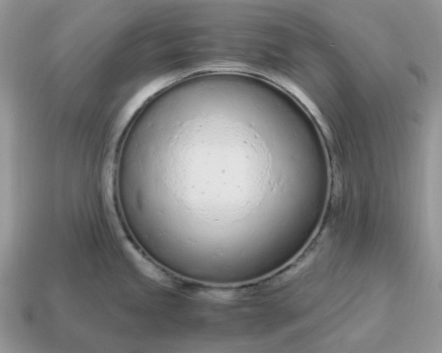 X0000114601245200911091311