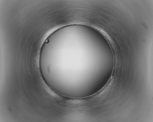 X0000114601246200911091311