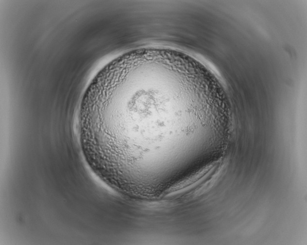 X0000114601247200911091311