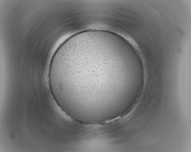 X0000114601248200911091311