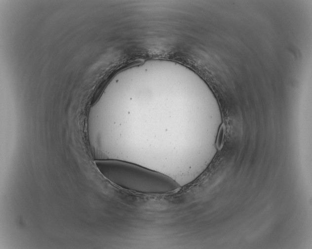 X0000114601249200911091310