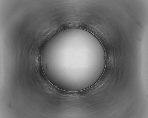 X0000114601250200911091310