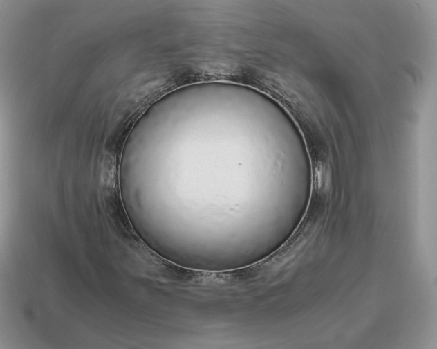 X0000114601251200911091310