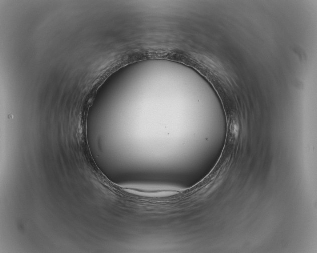 X0000114601252200911091310