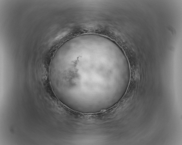 X0000114601253200911091310