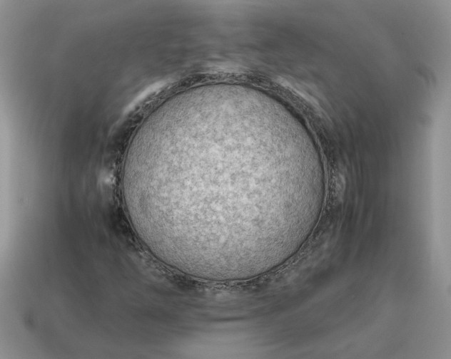 X0000114601254200911091310