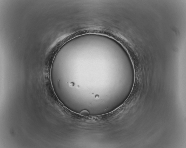 X0000114601255200911091310