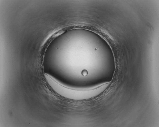 X0000114601256200911091310