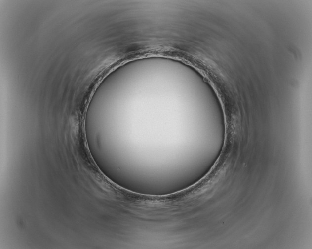 X0000114601257200911091310