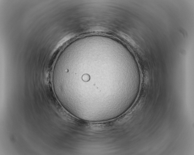 X0000114601258200911091310