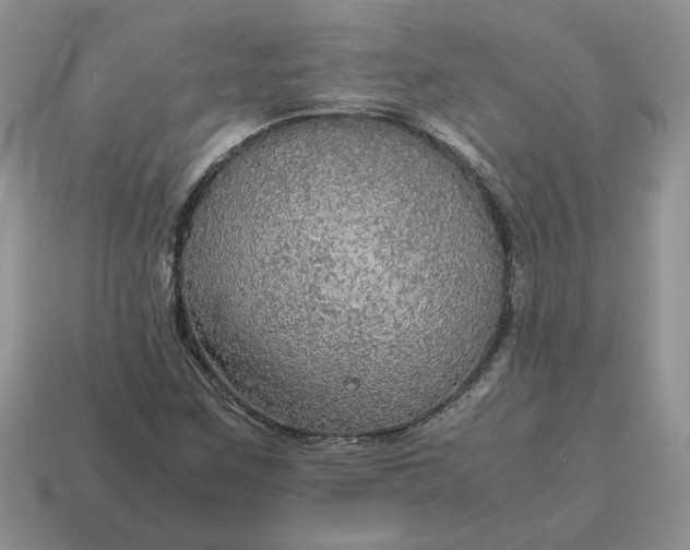 X0000114601259200911091310