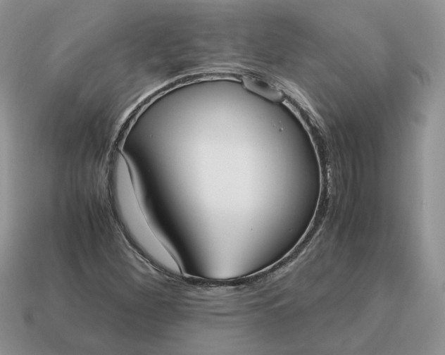 X0000114601260200911091310