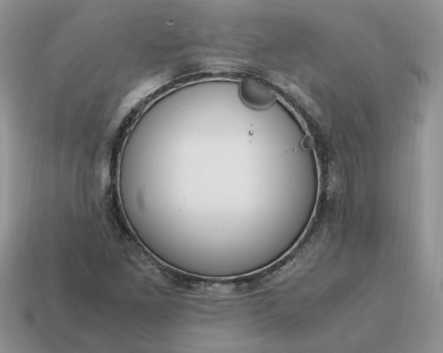 X0000114601261200911091310