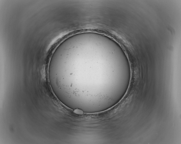 X0000114601262200911091310