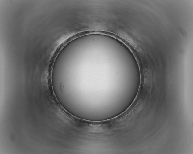 X0000114601264200911091310