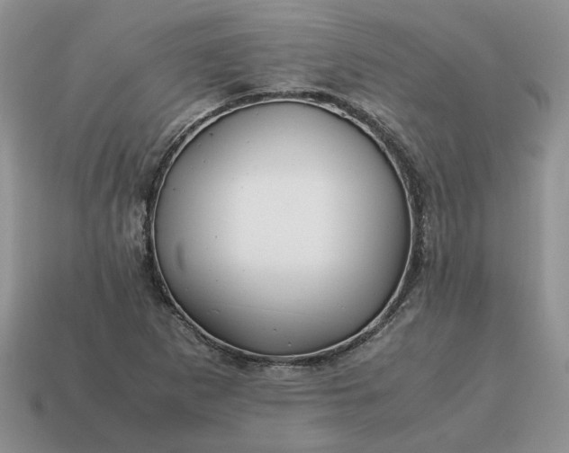 X0000114601265200911091310