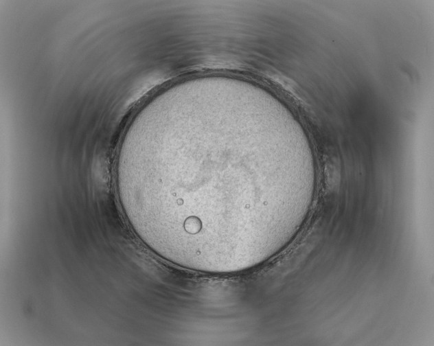 X0000114601266200911091310