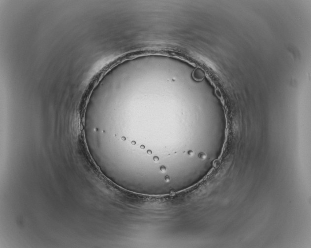 X0000114601267200911091310