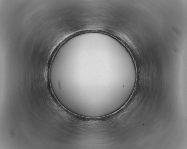 X0000114601268200911091310