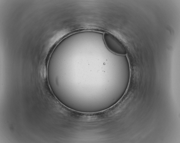 X0000114601269200911091310