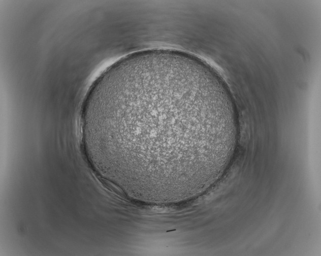 X0000114601271200911091310