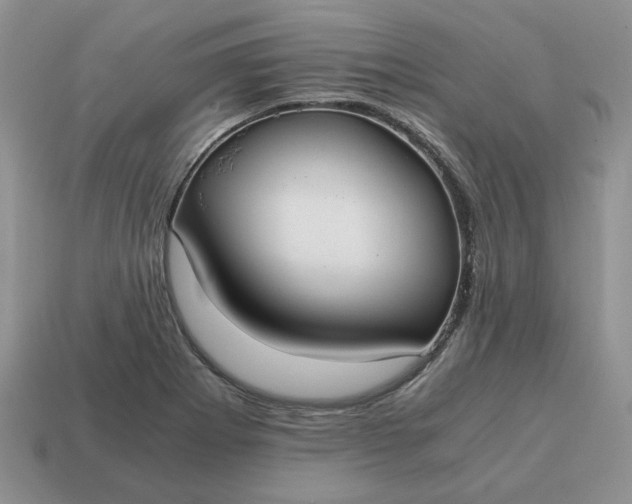 X0000114601273200911091310