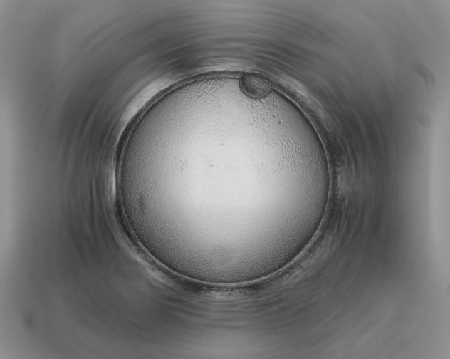 X0000114601274200911091310