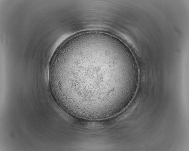 X0000114601275200911091310