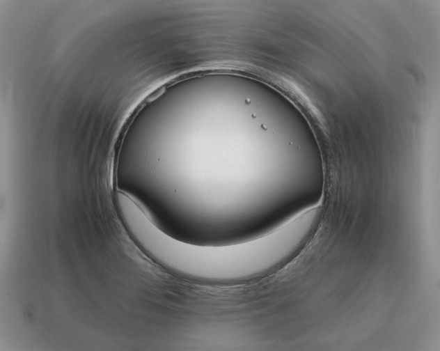 X0000114601276200911091310