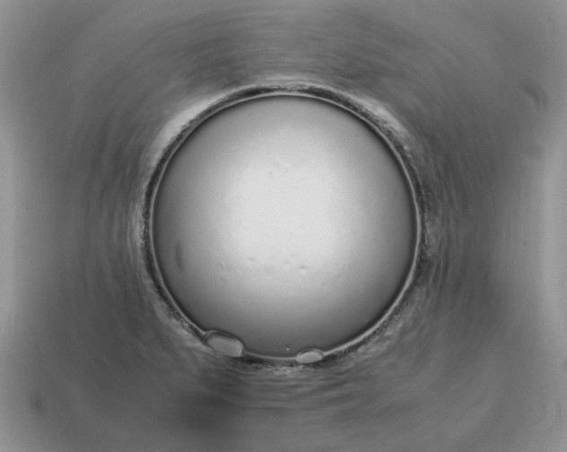 X0000114601279200911091310