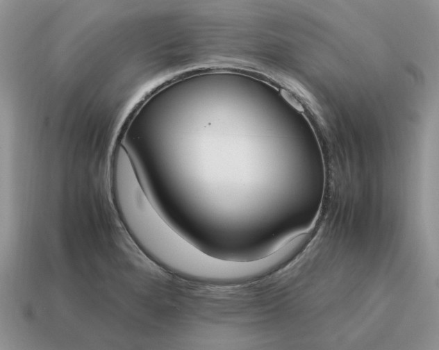 X0000114601280200911091310