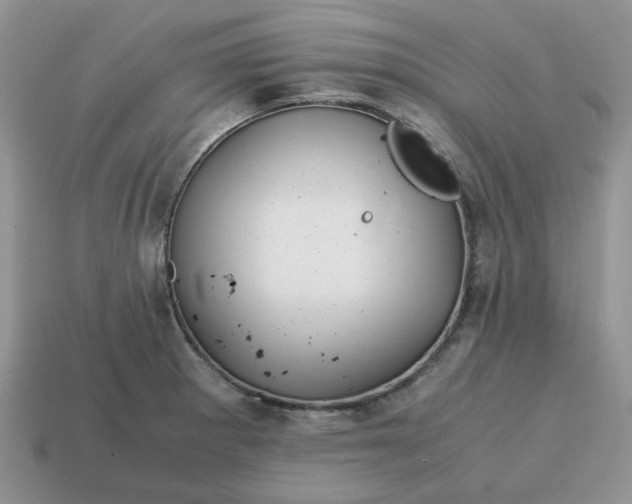 X0000114601281200911091310