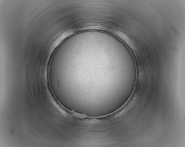 X0000114601282200911091310