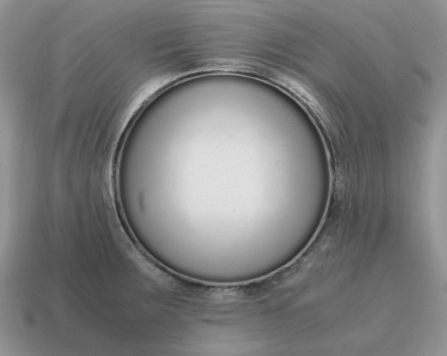 X0000114601283200911091310