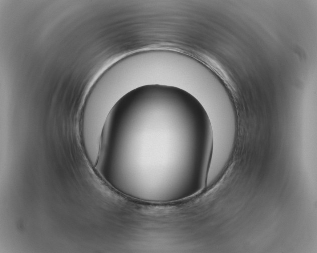 X0000114601284200911091310