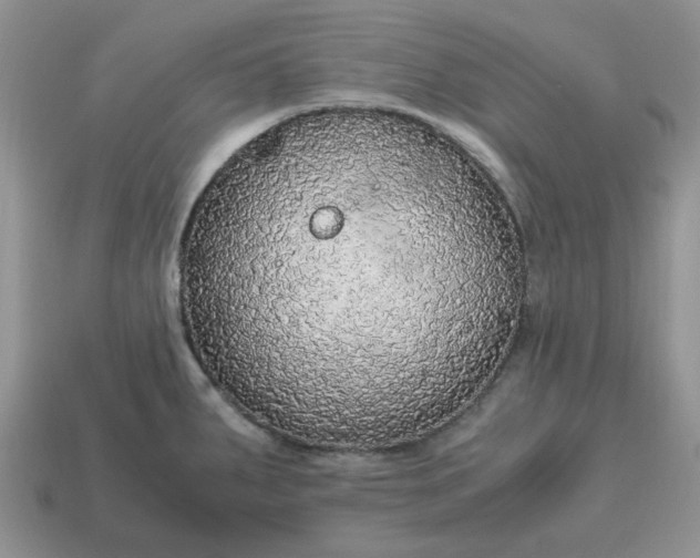 X0000114601287200911091310