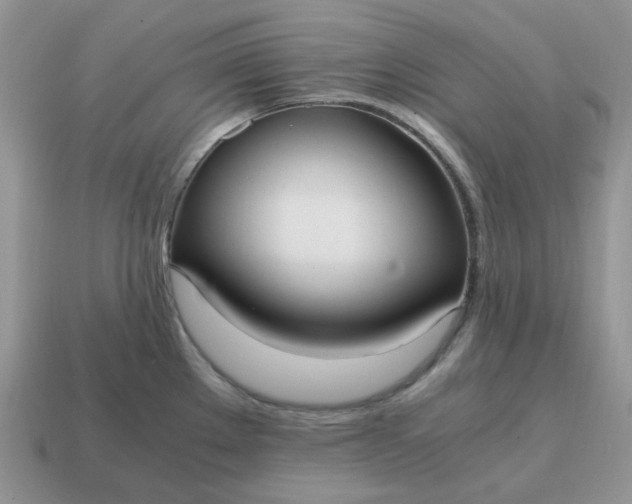 X0000114601289200911091310