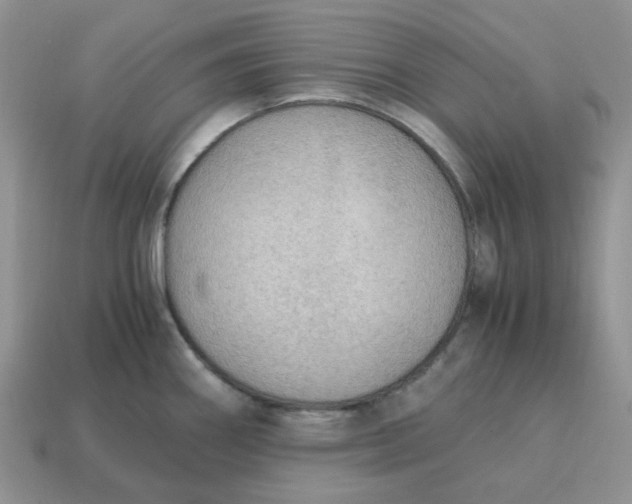 X0000114601290200911091310