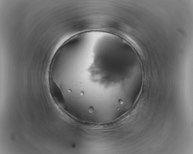 X0000114601291200911091310