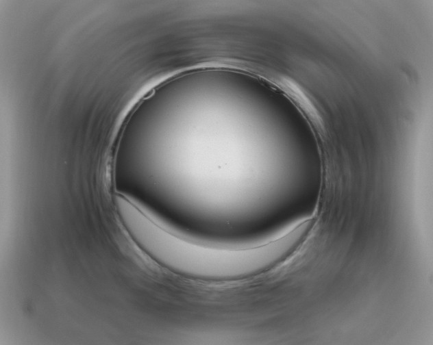 X0000114601292200911091310