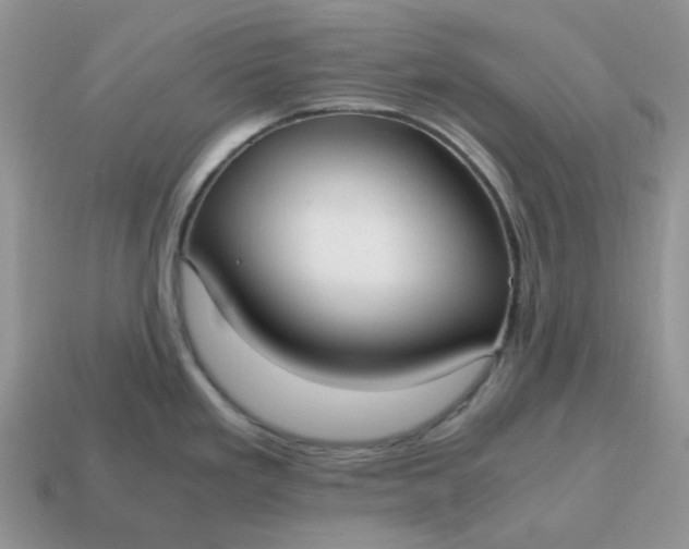 X0000114601293200911091310