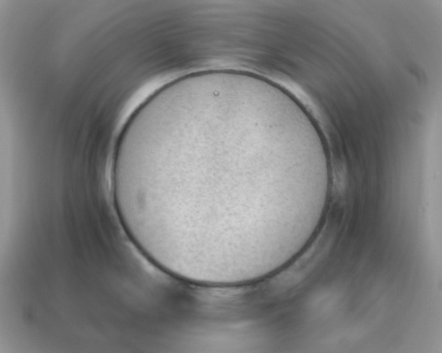 X0000114601294200911091310