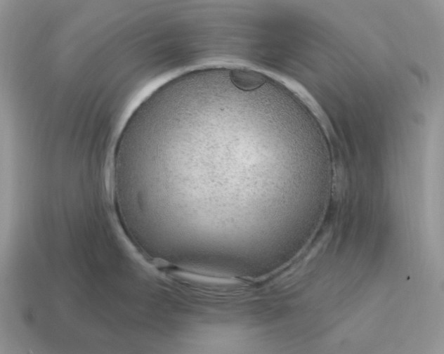 X0000114601295200911091309