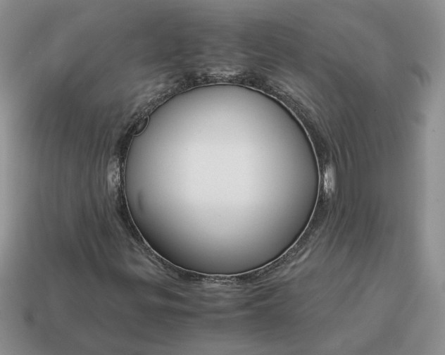 X0000114601299200911091309