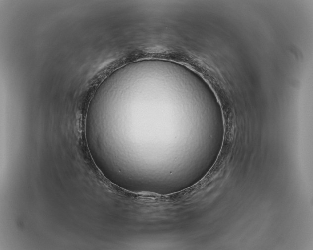 X0000114601301200911091309