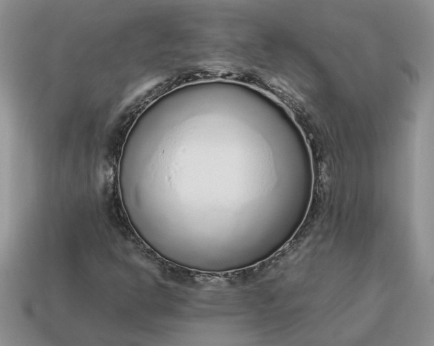 X0000114601302200911091309